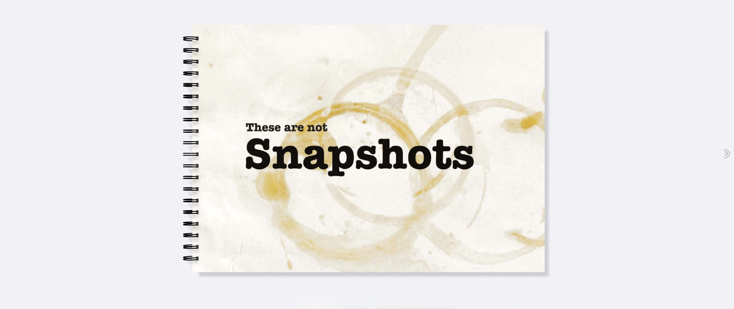These are not Snapshots. They are conversations between Image and AI